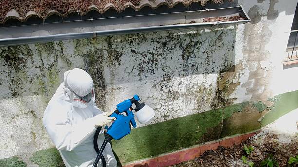 Trusted Commercial Mold Remediation service in Bunnlevel, NC - Cheap Mold Removal